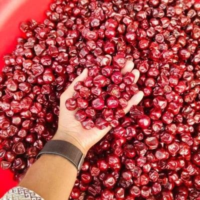 Jujube-Boṛoi