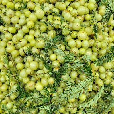 Gooseberry