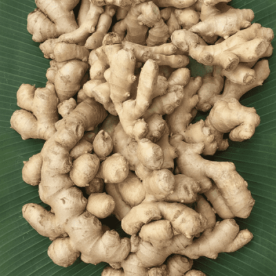 Ginger