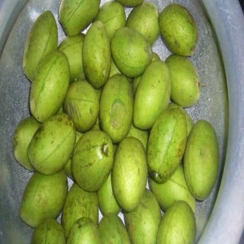 Olive - জলপাই